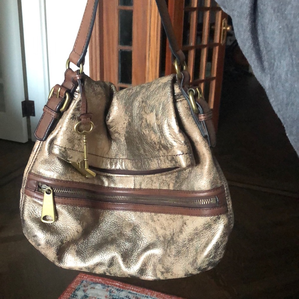 Fossil metallic gold purse